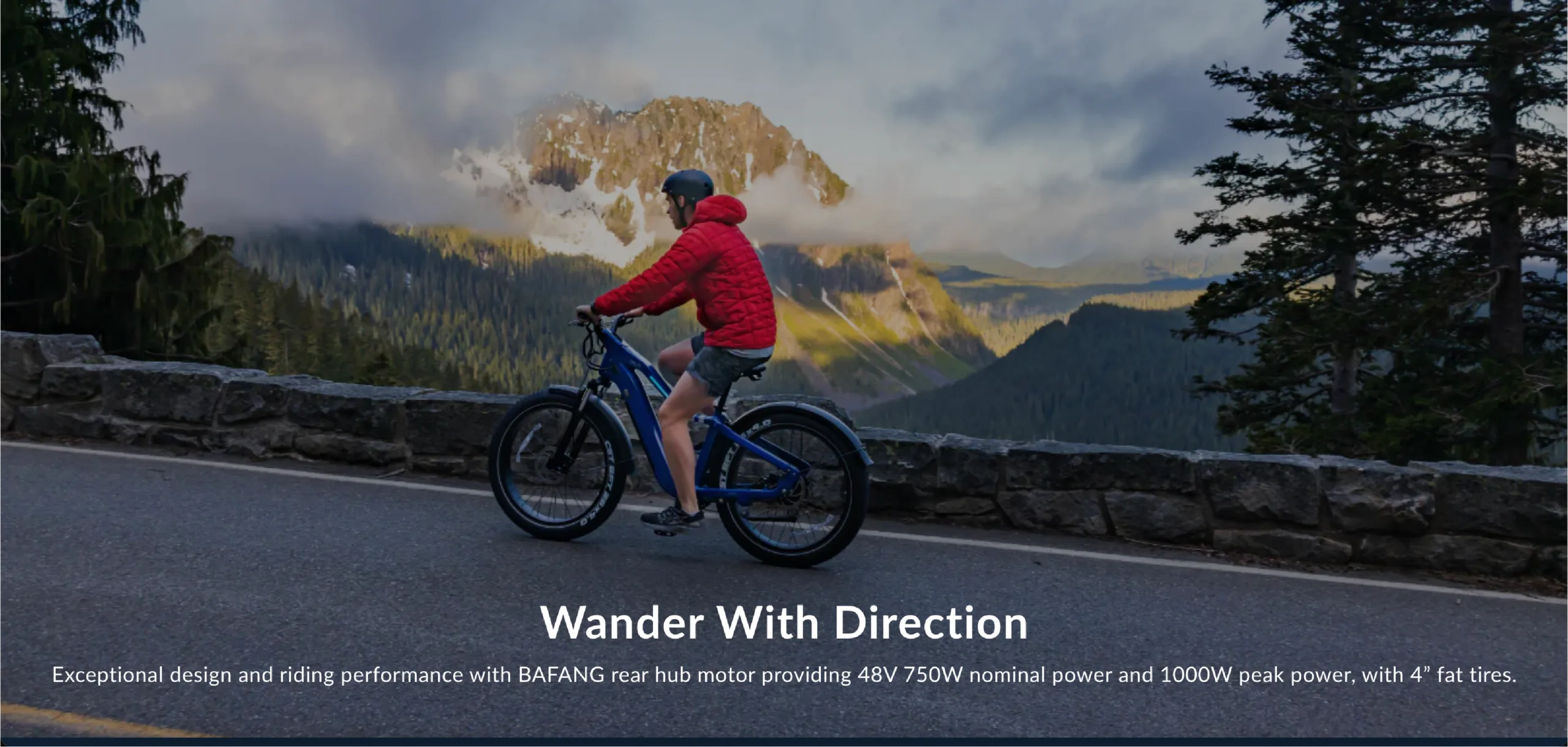 Zippy Pro ES52 Banner-1-01